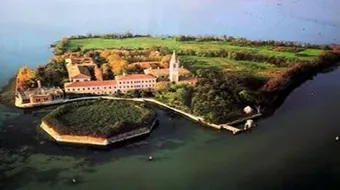 جزيرة بوفيليا