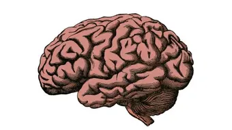 أضرار نزيف الدماغ