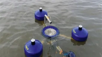 قانون الطفو