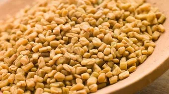 هل تؤكل الحلبة حب