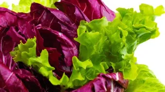 سلطة الجزر والملفوف