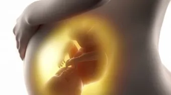 أسباب جفاف ماء الجنين