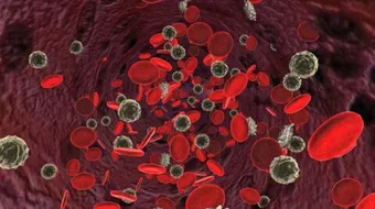 أسباب انخفاض كريات الدم البيضاء