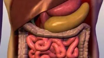 أسباب سوء الامتصاص