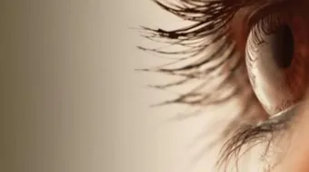 أسباب رفة العين