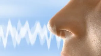 أسباب ضعف حاسة الشم وعلاجها