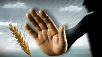 مسبب مرض تحسس القمح