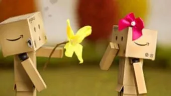 اختيار الزوجة المناسبة