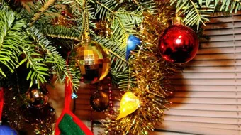 عبارات عيد الميلاد