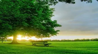 اذكار الصباح كاملة