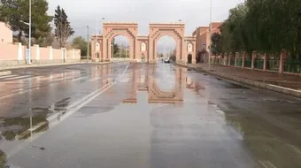 مدينة الريش