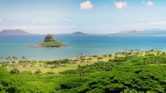 مدينة هاواي