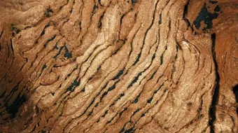 تصنيف الصخور الرسوبية