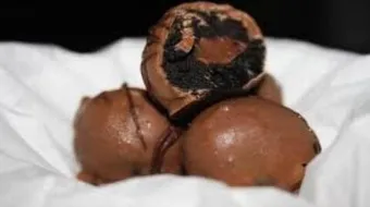 طريقة إعداد حلى القهوة