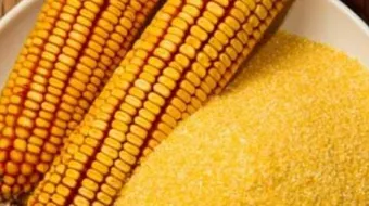 دقيق الذرة ومرض السكر