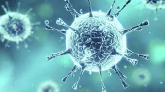 الوقاية من فيروس كورونا