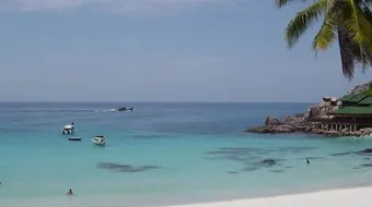 جزيرة القطن