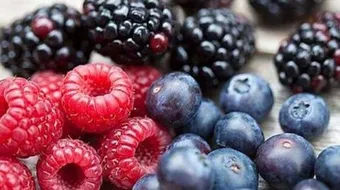 فوائد التوت البري للتخسيس