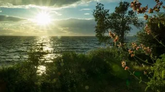 أذكار الصباح والمساء اليومية