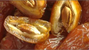 أضرار نواة التمر