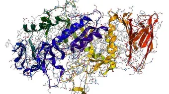 تعريف انزيم الاميليز