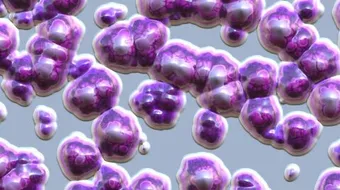 تعريف علم الأحياء