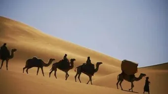 تعريف أدب الرحلة