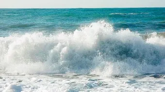 تعريف الجزر والمد