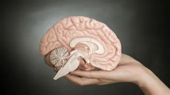 تعريف علم المعاني