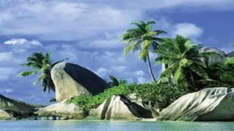 تعريف البناء الضوئي