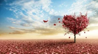 تعريف الشعر الجاهلي