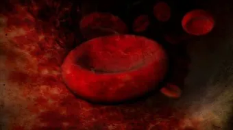 تعريف خلايا الدم الحمراء