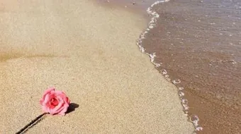 تعريف بالشاعر علي الجمبلاطي