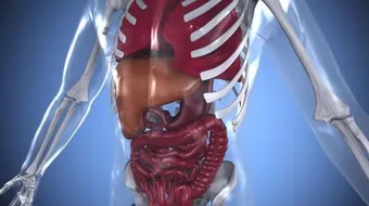 تشخيص مرض ويلسون