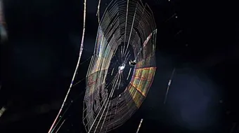 ظاهرة الحيود