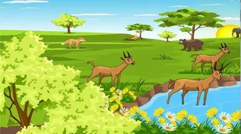 تنوع الأوساط البيئية