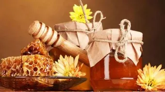 هل العسل يضر الحامل