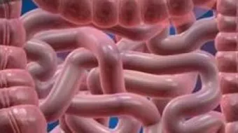 هل القولون يسبب ضيق التنفس