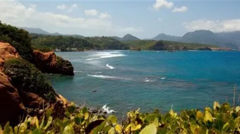 جزيرة دومينيكا