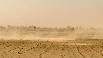 مكونات الغبار