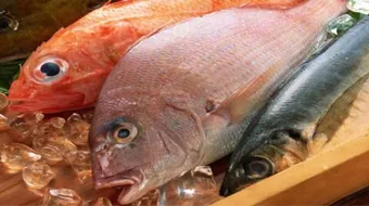 أكلات السمك بأنواعه