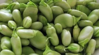 أكل الفول الأخضر للحامل