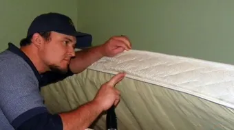 التخلص من البق نهائياً