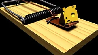 القضاء على الفئران