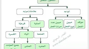 أمثلة على المفعول المطلق