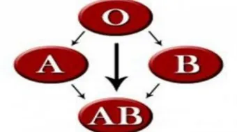 شرح فصائل الدم