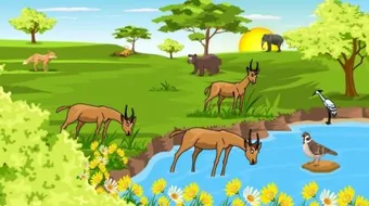 توضيح كيفية انتقال الطاقة في النظام البيئي