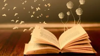 تعبير عن عيد المعلم