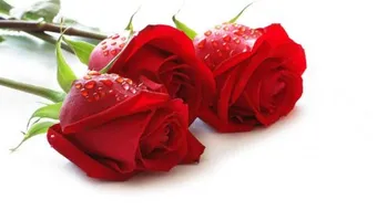 كلمات معبرة للزوج