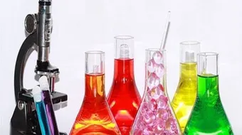 العوامل المؤثرة في سرعة التفاعل